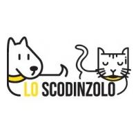 Scodinzolo