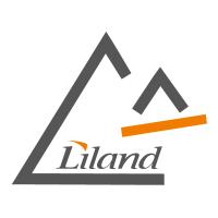 LiandIT GmbH